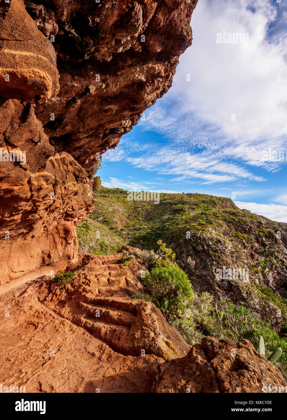 Sentiero da Cruz del Carmen di Punta Hidalgo, Anaga Parco Rurale, isola di Tenerife, Isole Canarie, Spagna Foto Stock