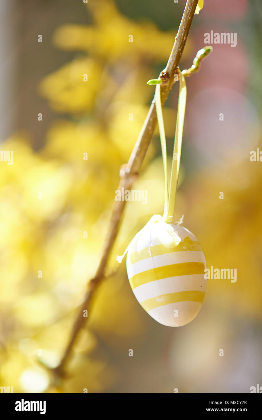 Uovo di Pasqua appeso di coltivazione, alta immagine chiave Foto Stock