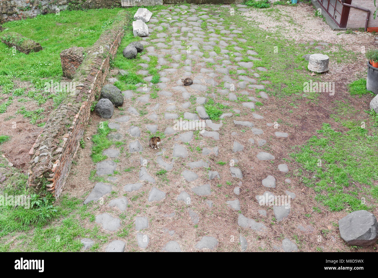 Due gatti su una vecchia strada romana nei pressi della Piramide Cestia - Roma Foto Stock