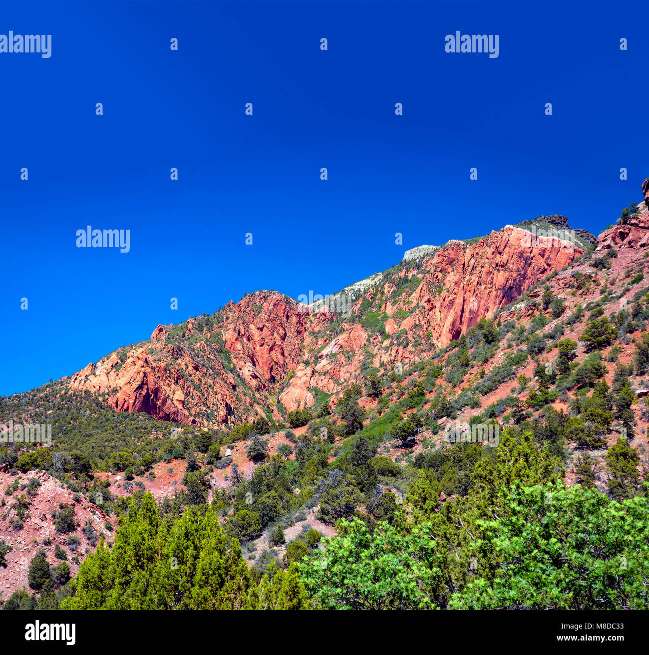 Kolob canyon nel parco nazionale di Zion, Utah. Cielo azzurro, verde, rosso Navajo di roccia arenaria montagne. Foto Stock