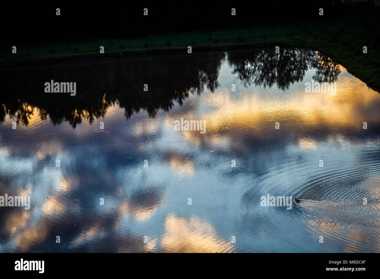 Foto aerea del cielo della foresta e della riflessione in un lago Foto Stock