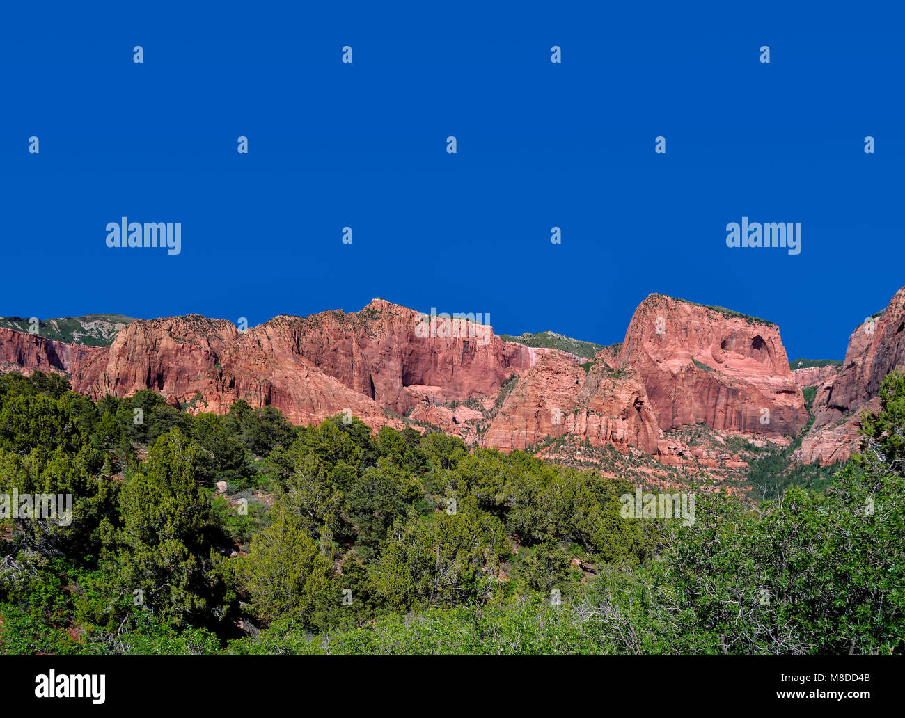 New Scenic 5 posti si affacciano a Sion Kolob canyon, nel sud-ovest dello Utah. Cielo blu, verde, rosso montagne di arenaria. Foto Stock