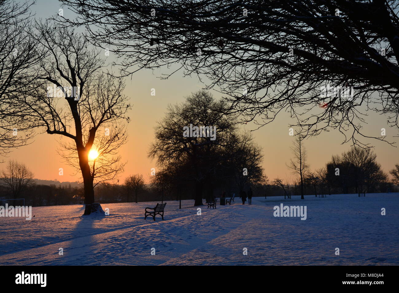 Sunrise in Brockwell Park Foto Stock