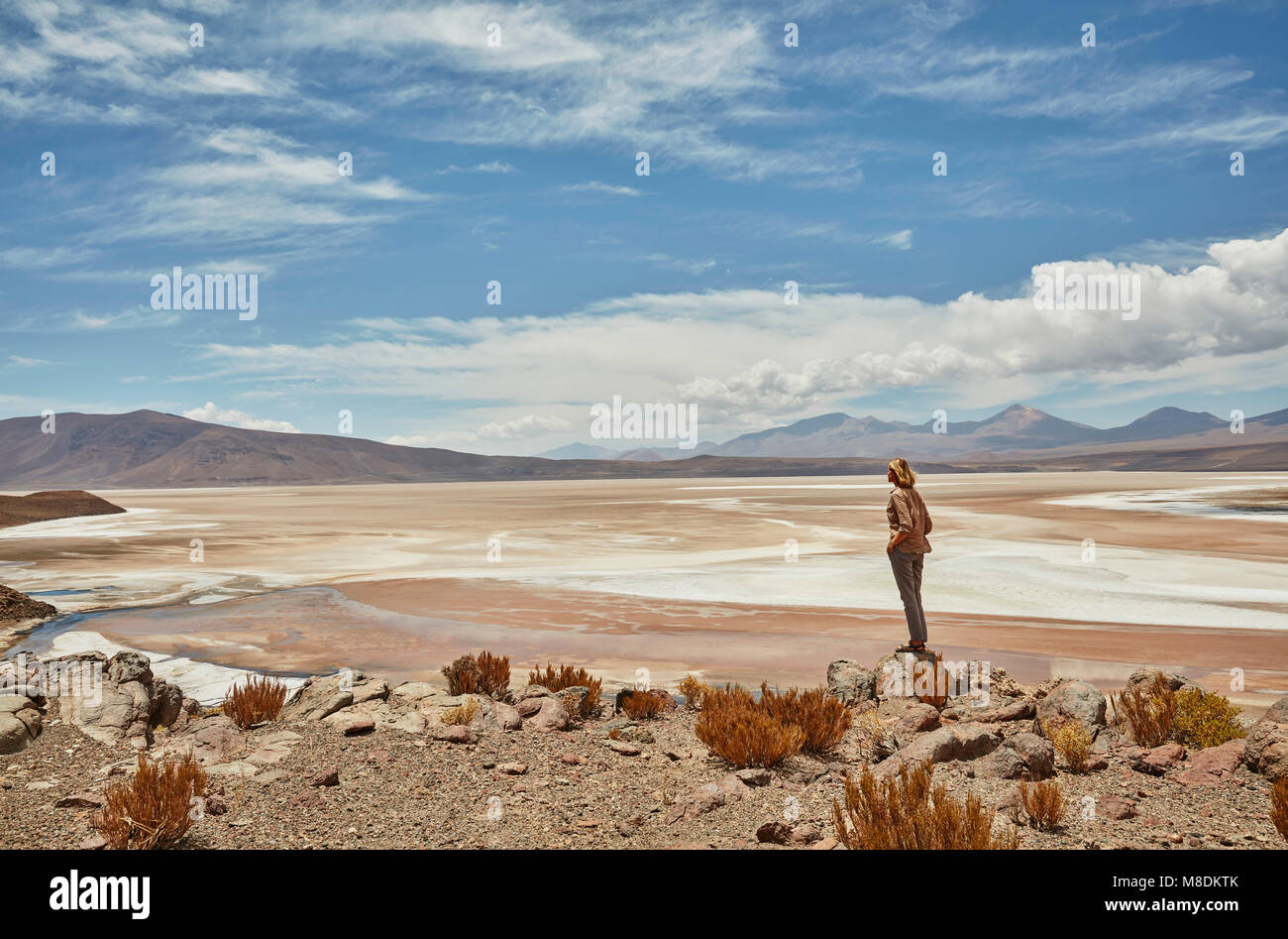 Donna in piedi, guardando a vista, Salar de Chiguana, Chiguana, Potosi, Bolivia, Sud America Foto Stock
