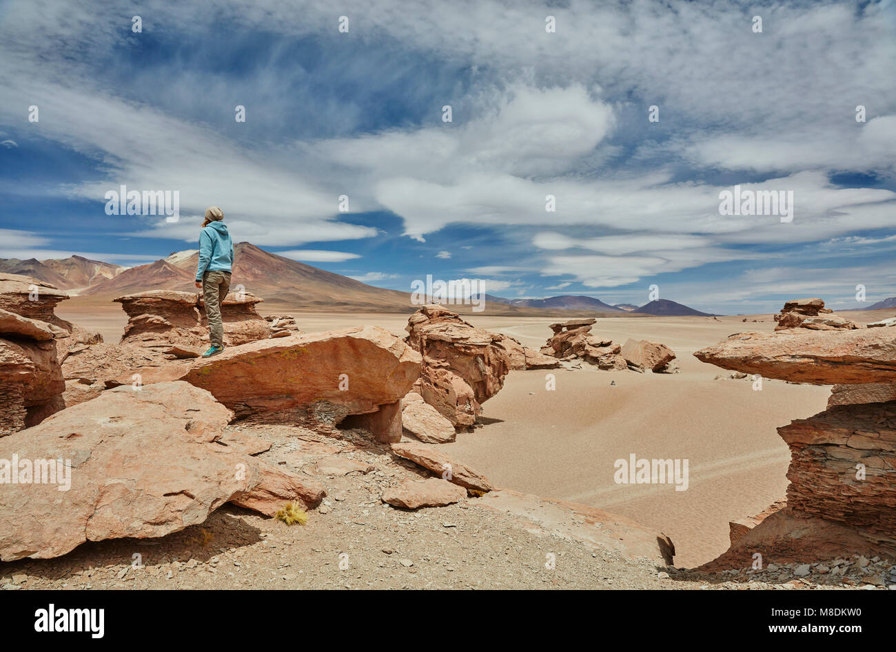 Donna in piedi sulla roccia, guardando a vista, Villa Alota, Potosi, Bolivia, Sud America Foto Stock