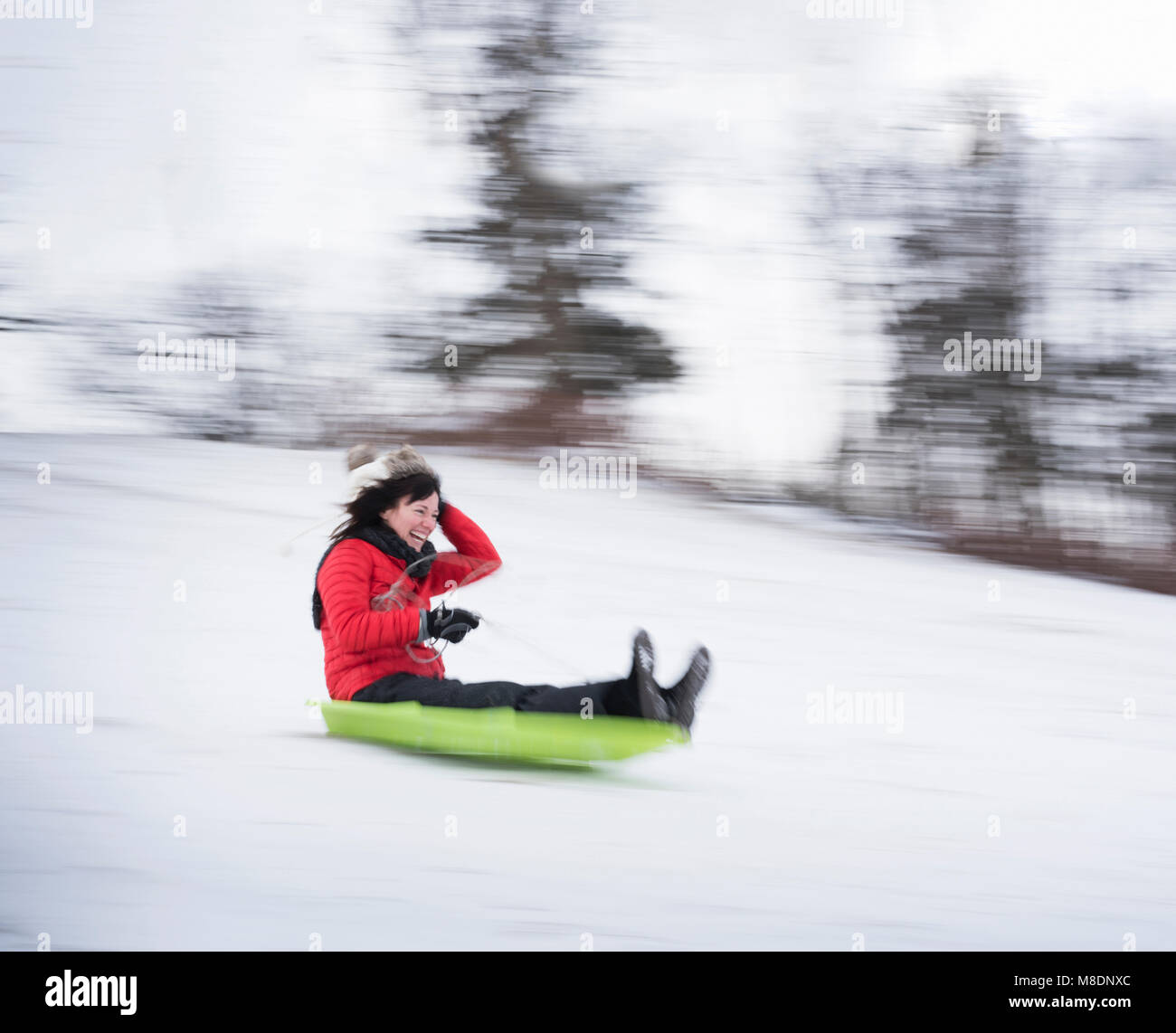 La donna corse in slittino sulla neve hill Foto Stock