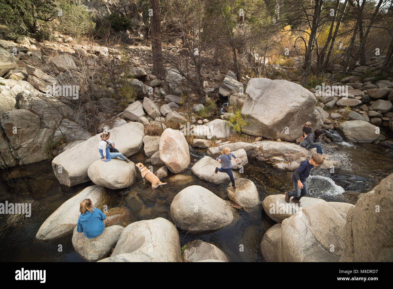 Famiglia giocando sulle rocce nel fiume, Lake Arrowhead, CALIFORNIA, STATI UNITI D'AMERICA Foto Stock