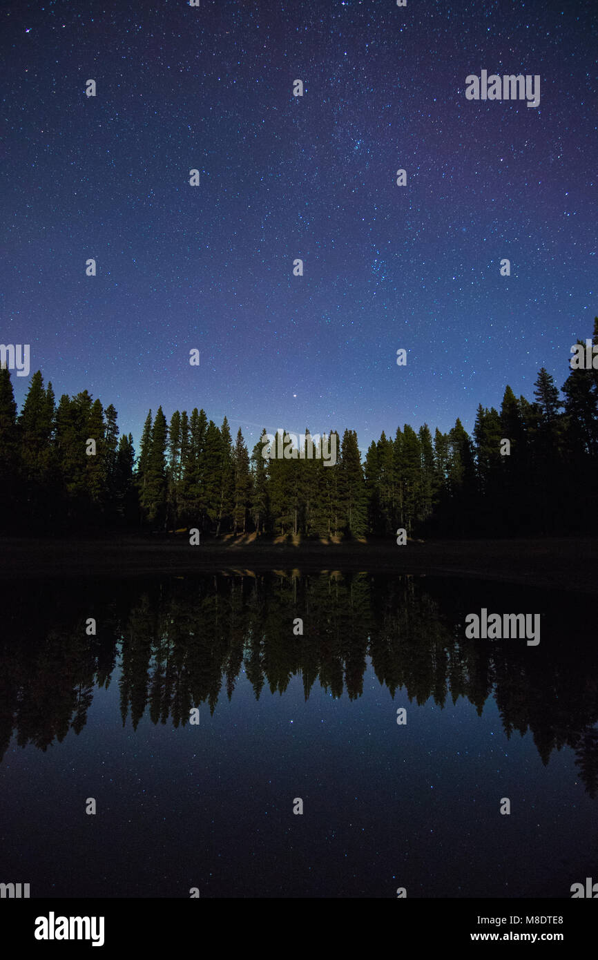 Cielo stellato, lastra di nickel Parco Provinciale, Penticton, British Columbia, Canada Foto Stock
