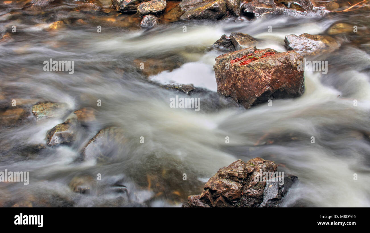 Rocce nel flusso di seguito localmente noto San Paddy's cade, vicino Bocabec e St Andrews, New Brunswick, Canada Foto Stock