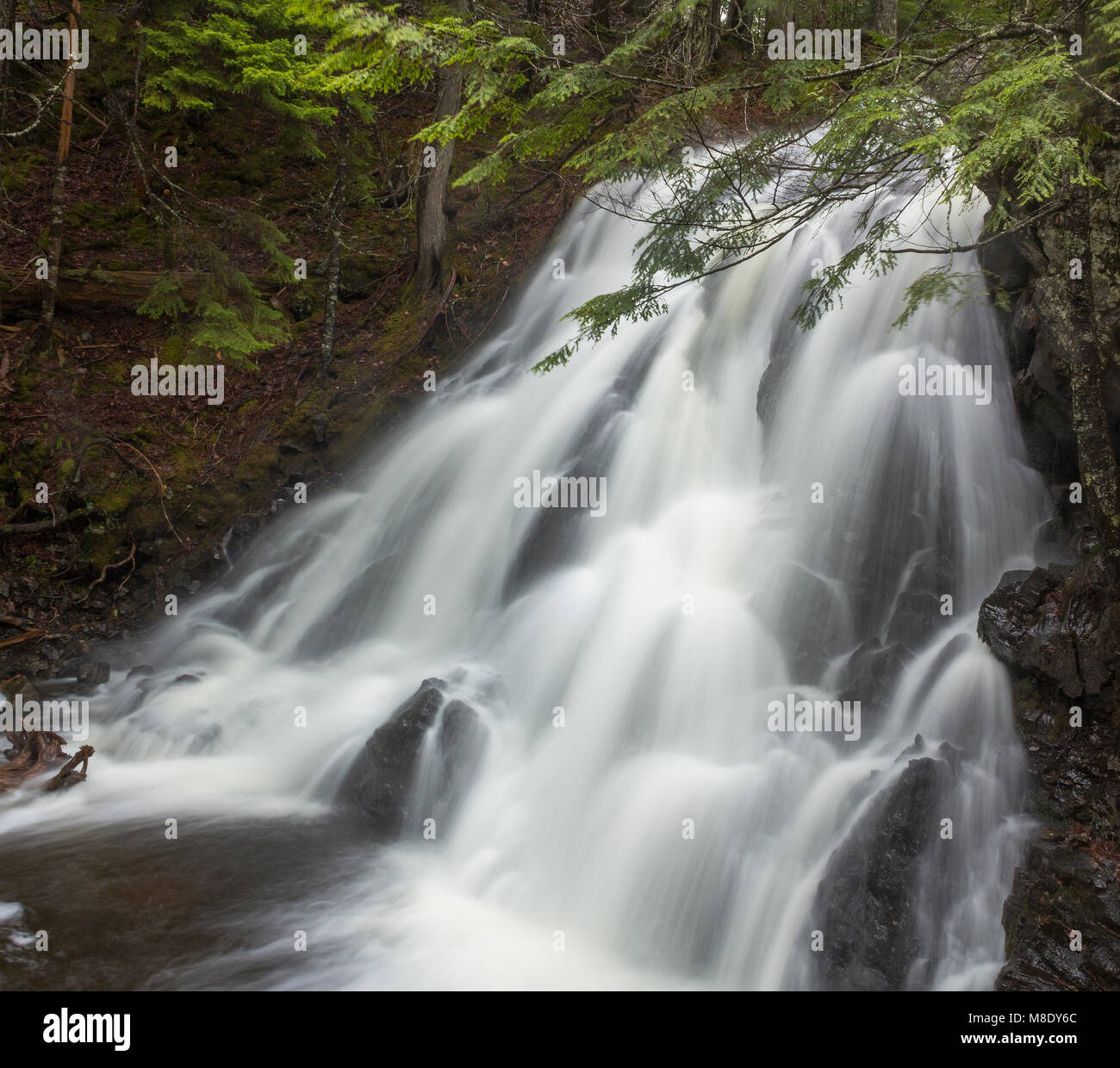 Piccolo, nascosto San Paddy's cade, vicino Bocabec e St Andrews, New Brunswick, Canada Foto Stock