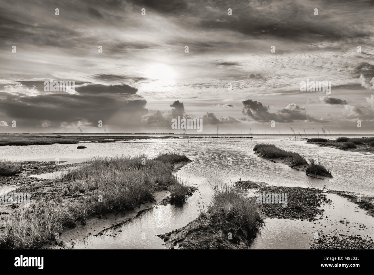 Mare del nord Isola di Mandø, Patrimonio naturale UNESCO, Ribe, Jutland, Danimarca Foto Stock