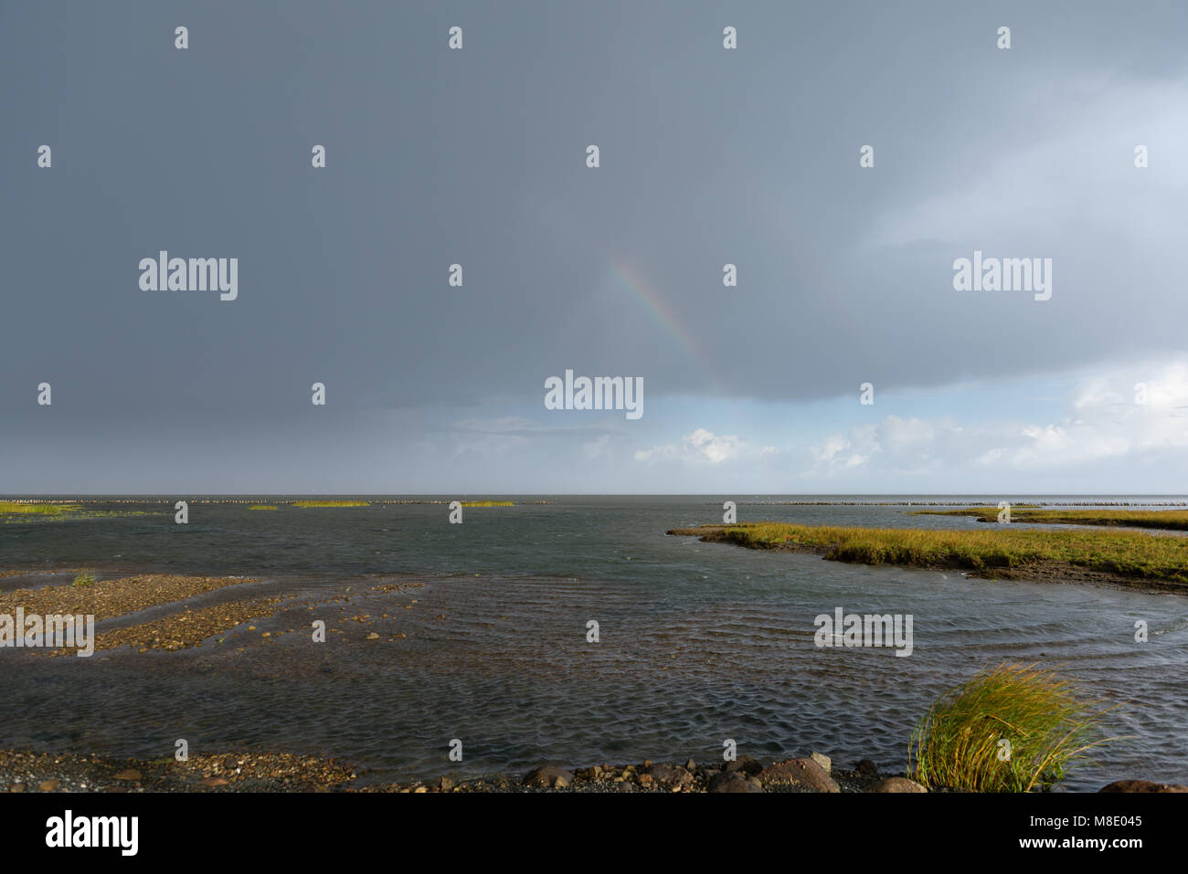 Mare del nord Isola di Mandø, Patrimonio naturale UNESCO, Ribe, Jutland, Danimarca Foto Stock