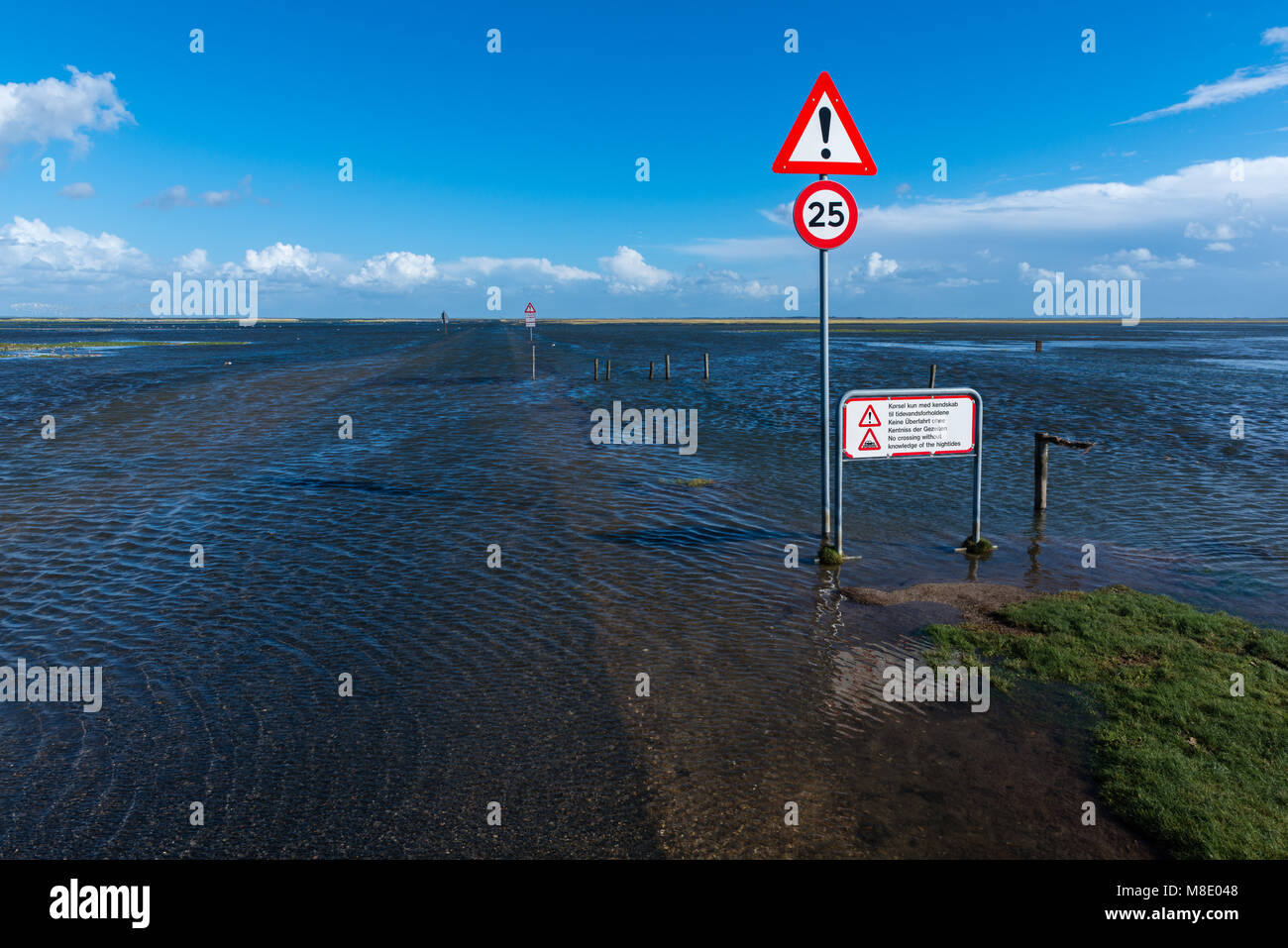 Segnaletica stradale automobili avvertenza sui pericoli della guida sulla terra di mare, mare del nord Isola di Mandø, Patrimonio naturale UNESCO, Ribe, Jutland, Danimarca Foto Stock