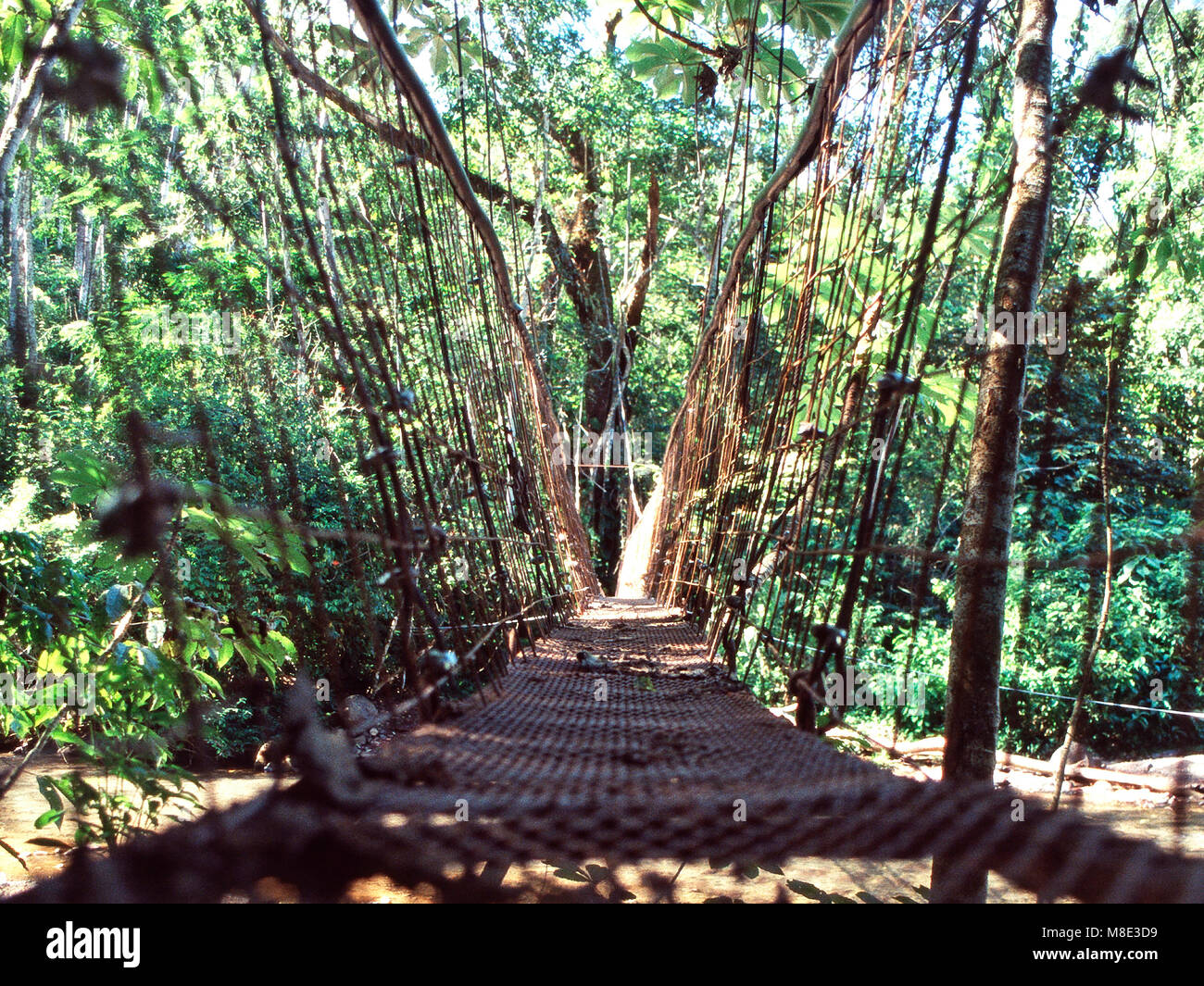 Corda sospensione ponte,canopy tour,Costa Rica Foto Stock