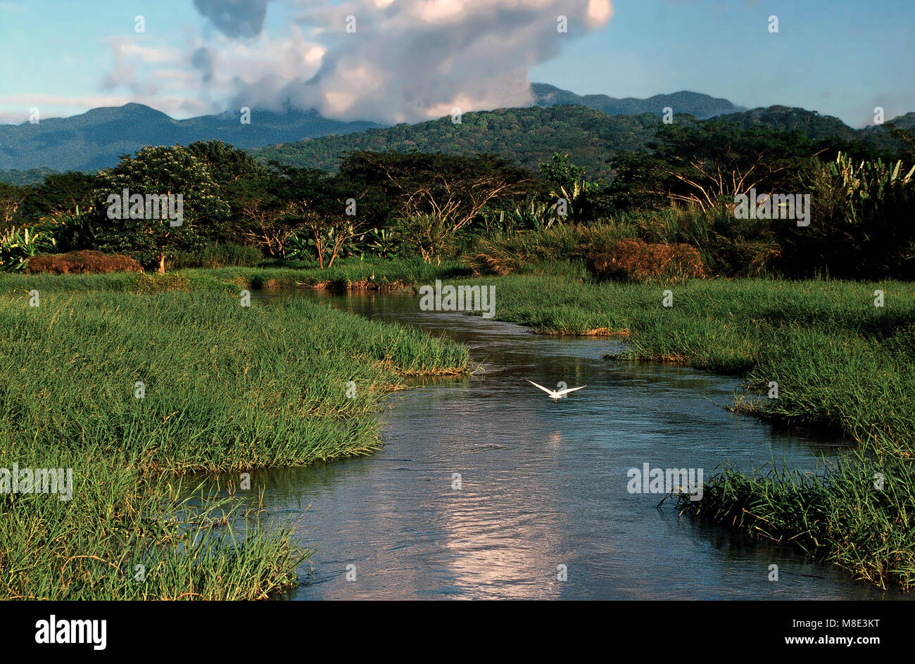 Rio Grande de Tarcoles,Costa Rica Foto Stock