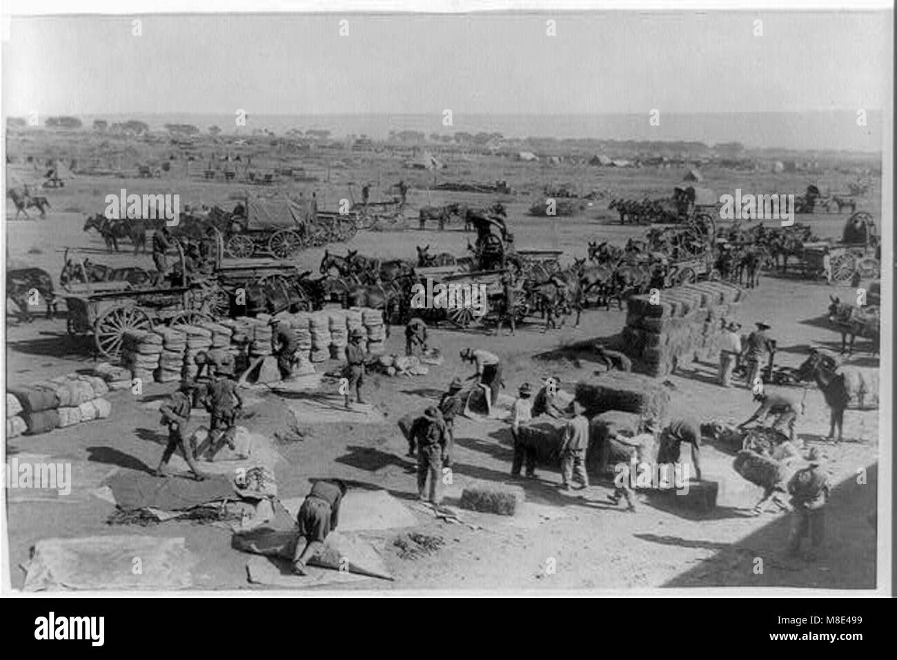 Stati Uniti Esercito spedizione punitiva dopo Villa, Colonia Dublan, Messico, 1916. Sede centrale americana- forniture di scarico dal treno messicano che è venuto da Juarez sul confine LCCN2002718570 Foto Stock