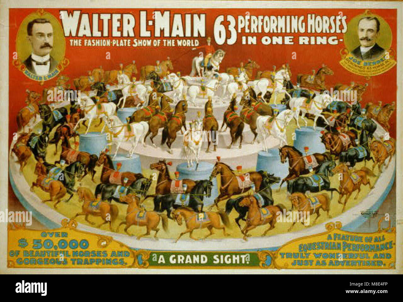 Uno spettacolo spettacolare con 63 cavalli addestrati che si esibiscono in un unico anello. L'immagine cattura l'impressionante coordinamento e l'abilità coinvolte negli spettacoli equestri, mettendo in evidenza l'arte dell'addestramento dei cavalli. Foto Stock