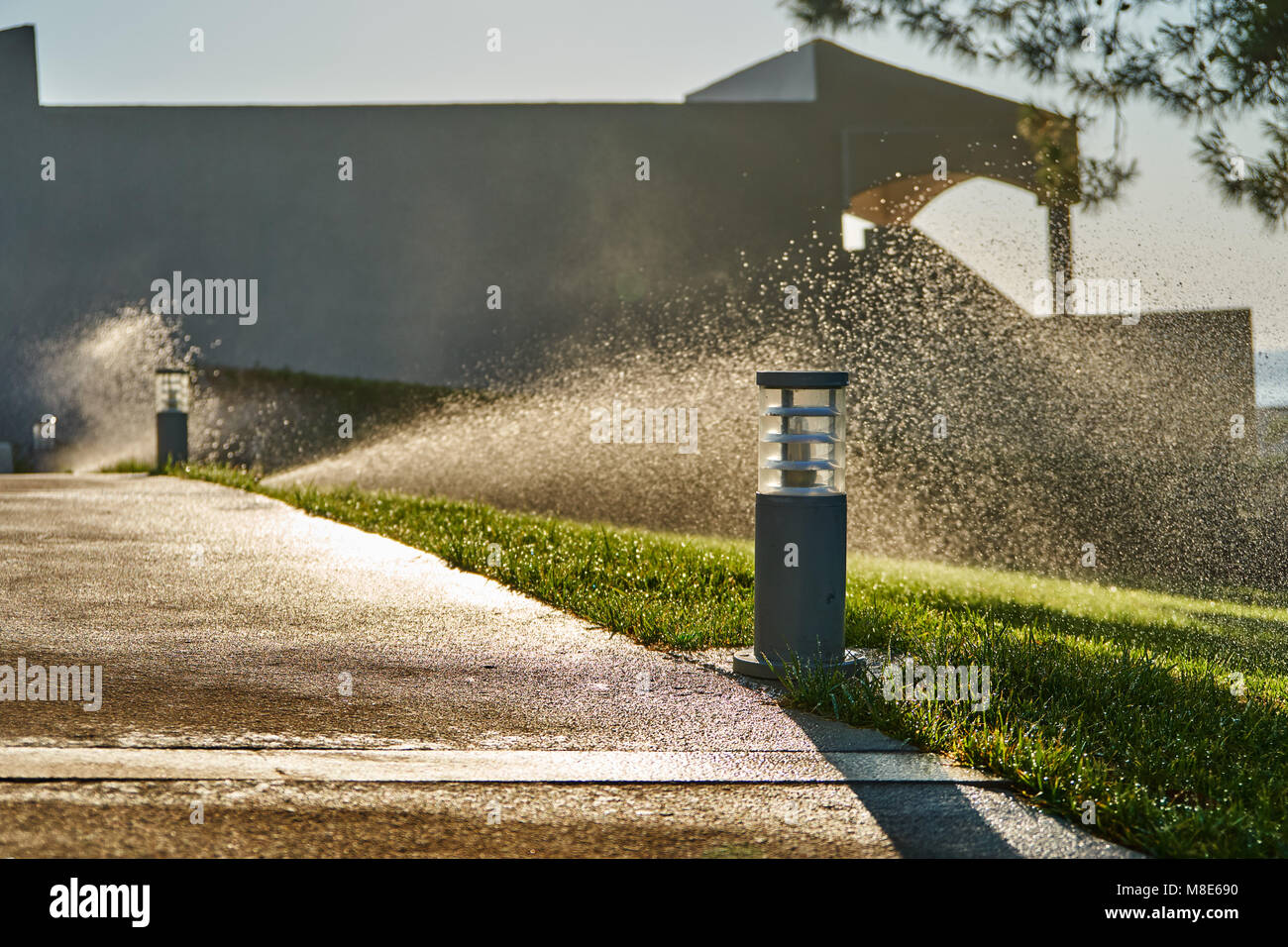 Annaffiatura mattutina del prato con sistema di irrigazione automatico. Impianto sprinkler intelligente per prato Foto Stock