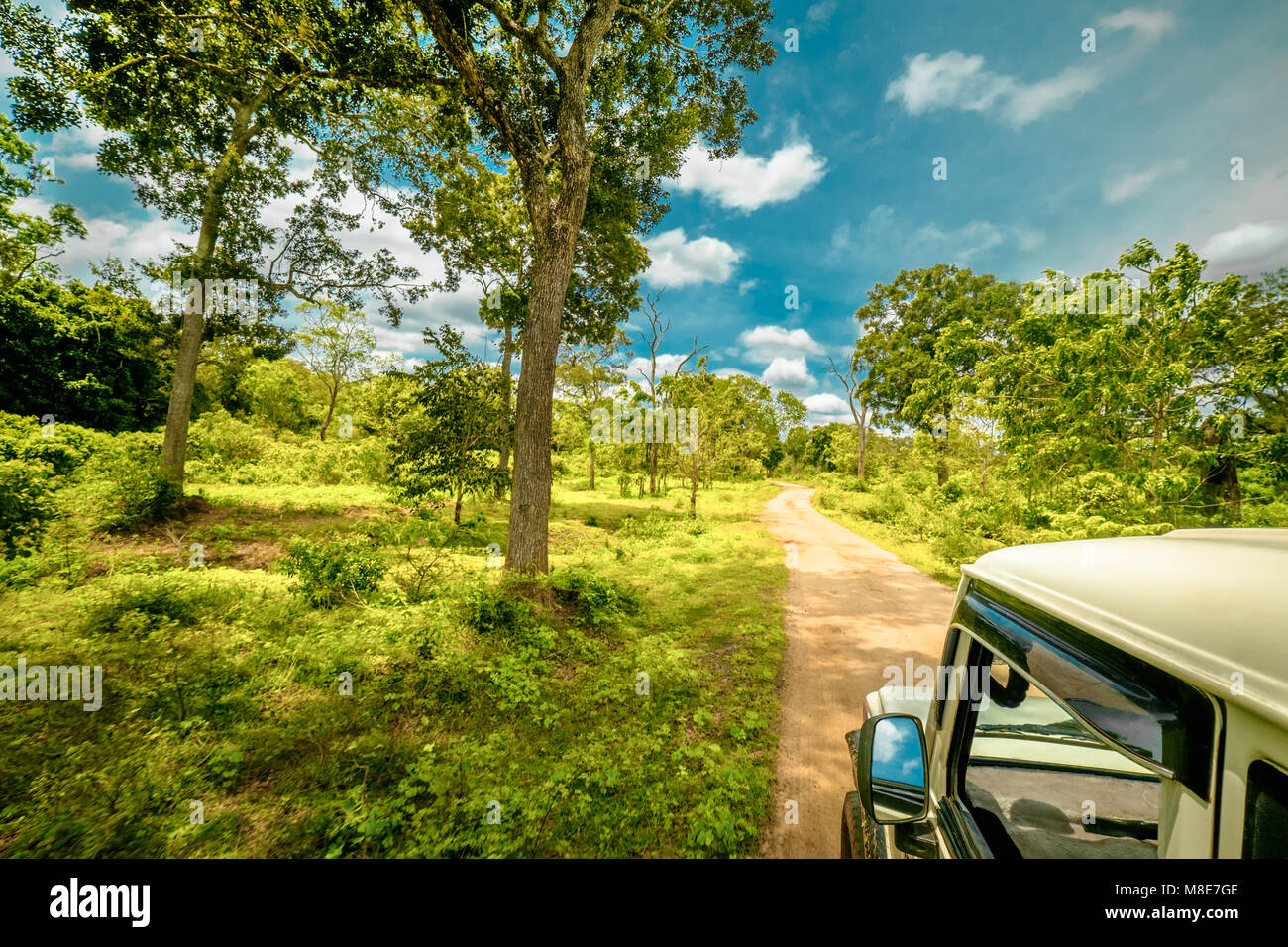 Esplorare la vita selvatica e la splendida natura paesaggio di jeep safari nel parco nazionale Yala, Sri Lanka Foto Stock