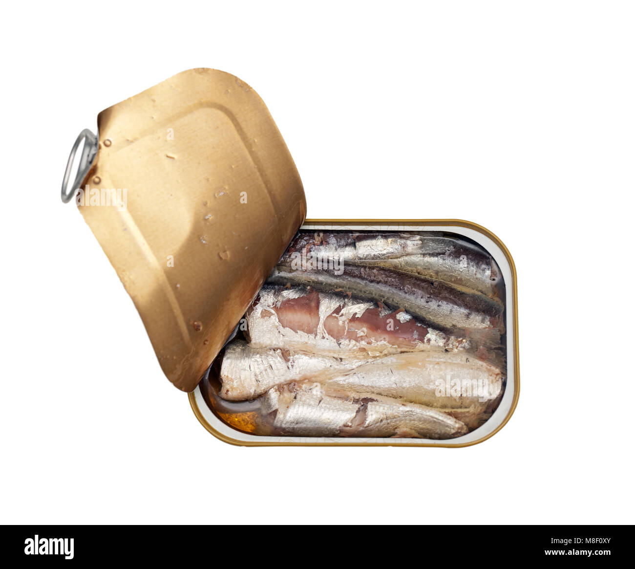 Possono le sardine in olio isolati su sfondo bianco. Foto Stock