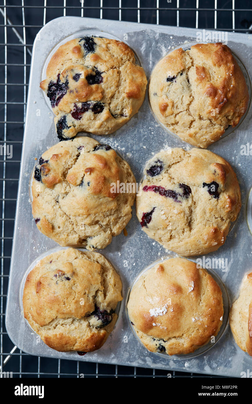 Direttamente sopra vista di muffin ai mirtilli Foto Stock