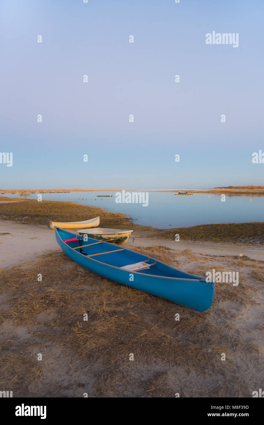 Stati Uniti d'America, Massachusetts, Cape Cod, Eastham, Canoe sulla spiaggia Foto Stock