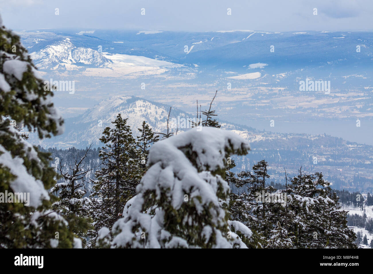 Coperte di neve Okanagan Valley e a ovest di Kelowna dal di sopra Foto Stock