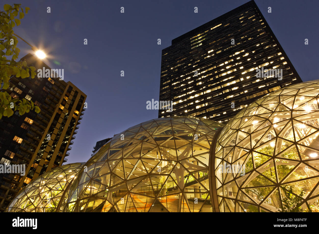 WA13867-00...WASHINGTON - tre Amazon Biiospheres pieno di piante esotiche e  le torri di Amazon nel downtown di Seattle al sesto e Lenora Foto stock -  Alamy