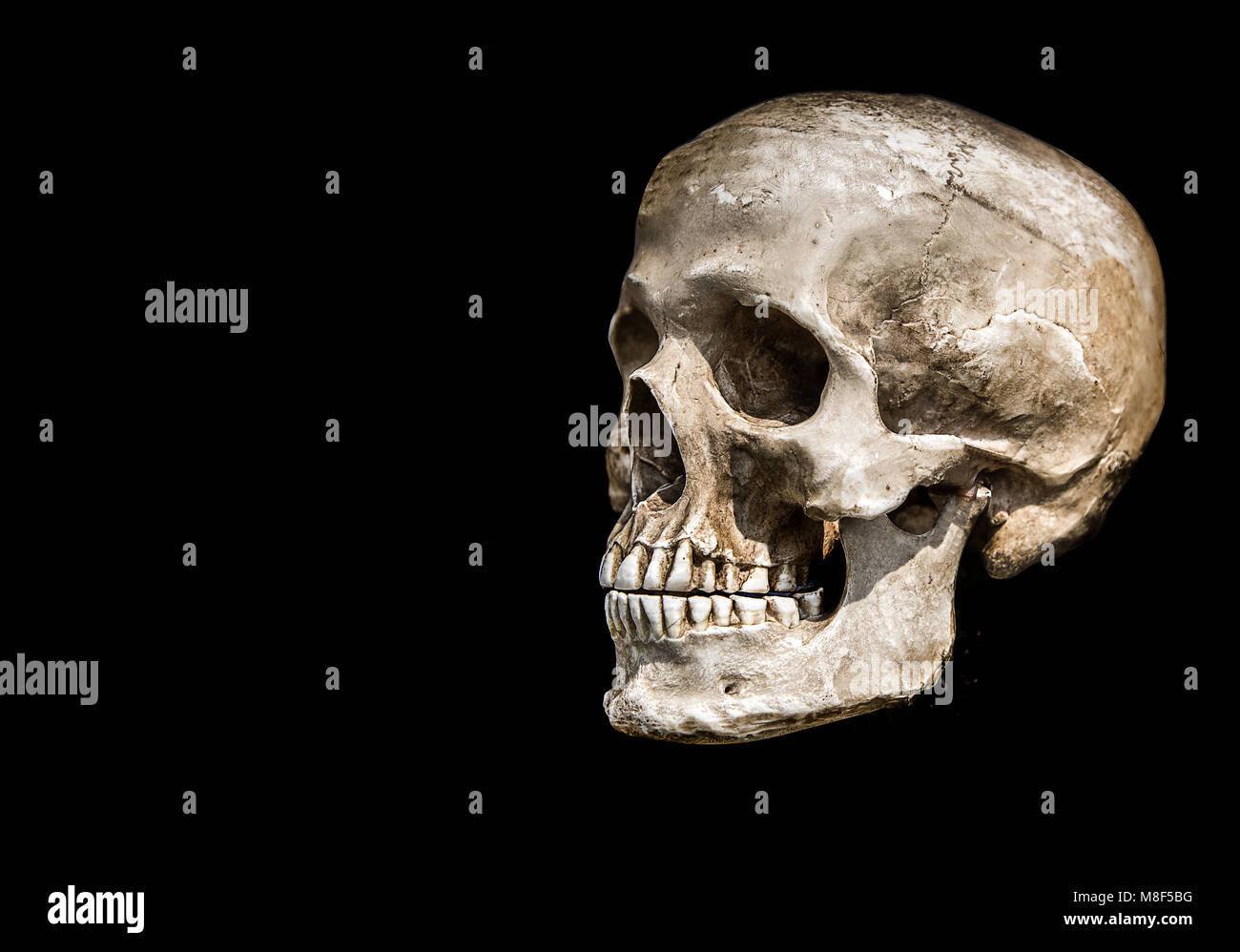 Scull umano su nero isolare Mostra cronologia della vita umana il concetto di anatomia Foto Stock