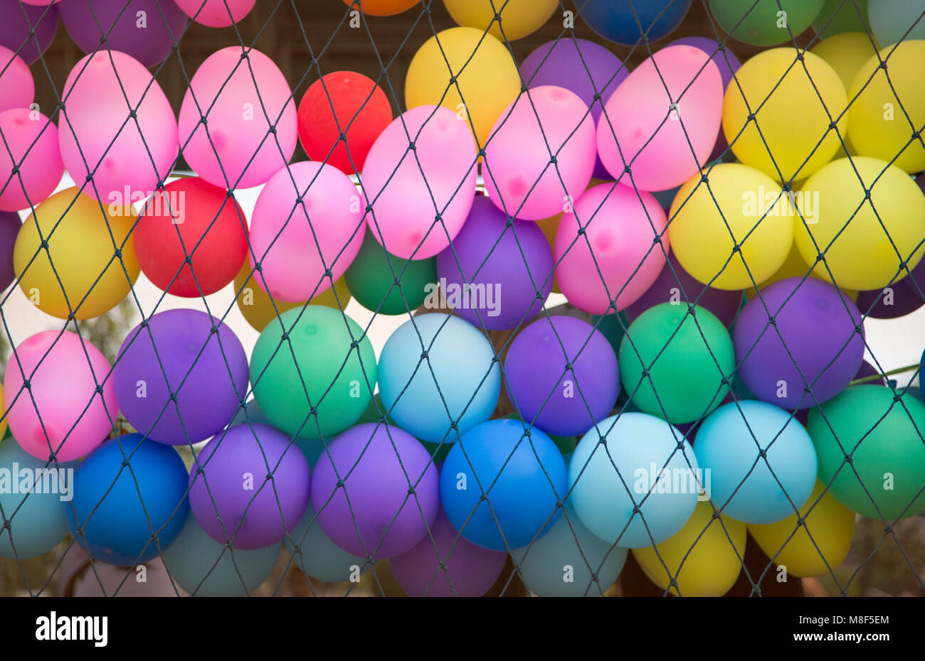 Cupola colorata con net decorazione per il background di partito Foto Stock