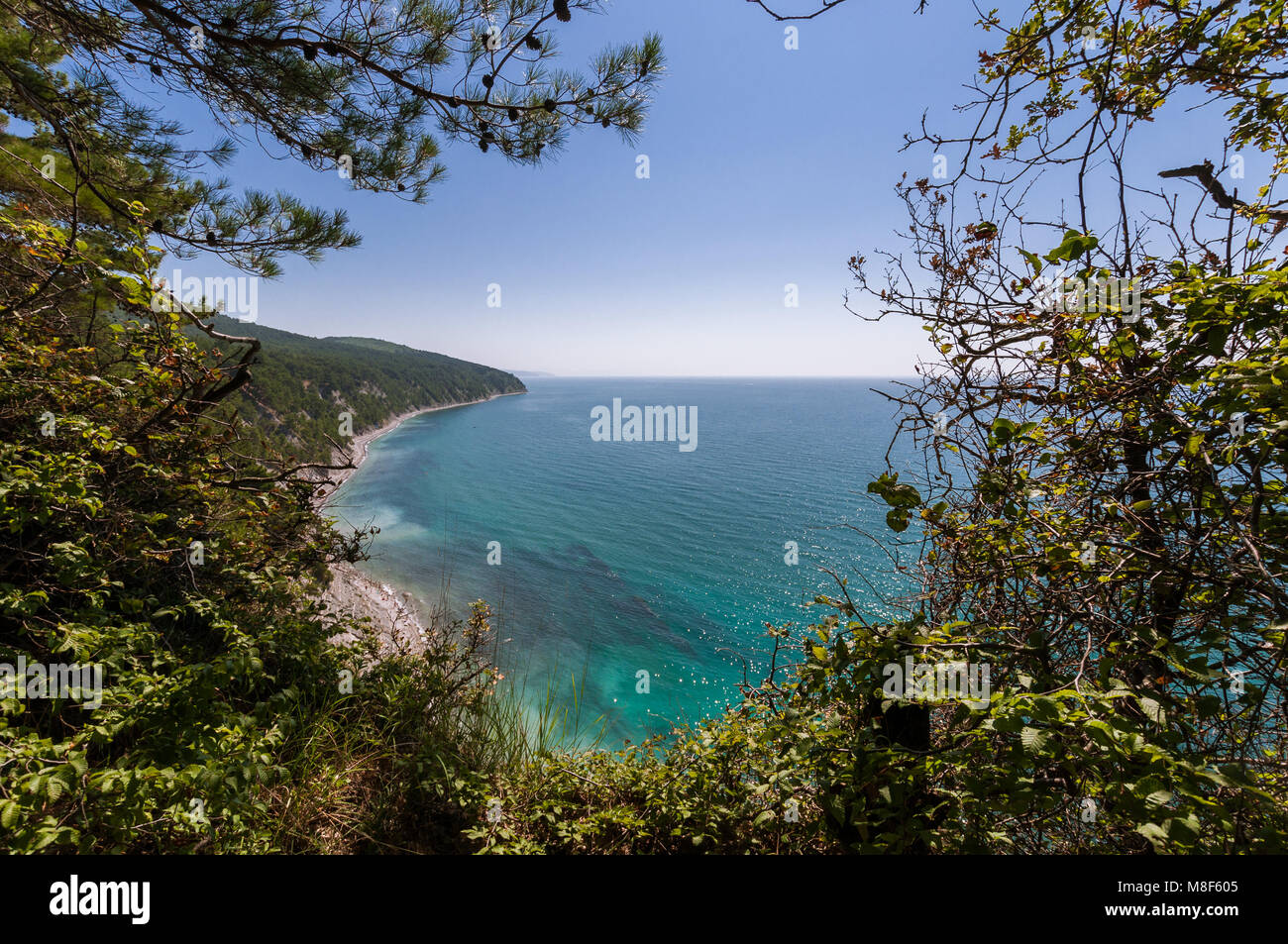 Betta, Gelendzhik distretto, Regione Krasnodar, Russia / Хутор Бетта, городской округ Геленджик, Краснодарский край. Foto Stock