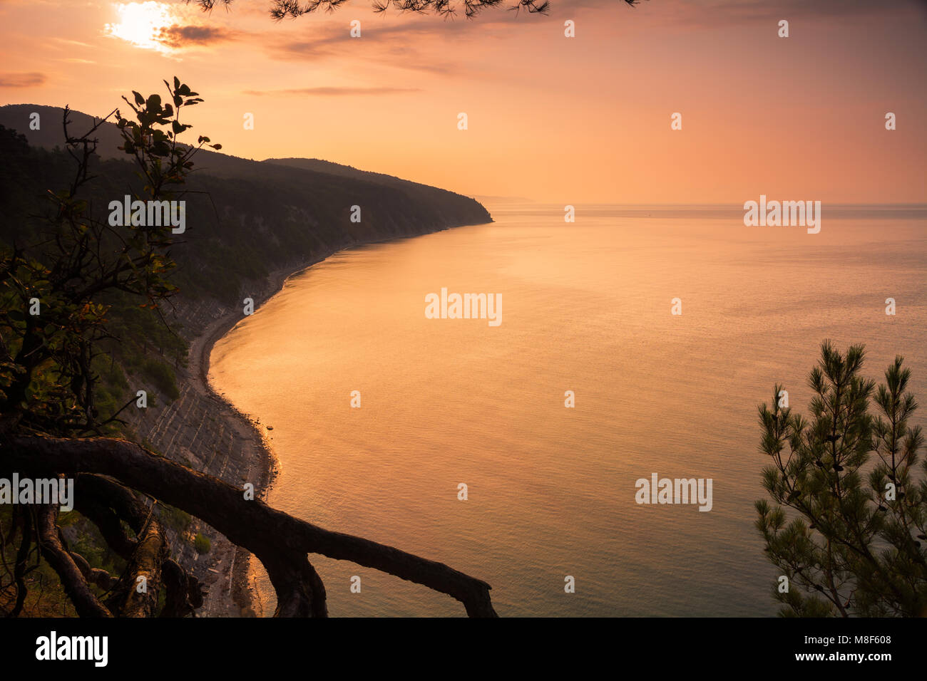 Betta, Gelendzhik distretto, Regione Krasnodar, Russia / Хутор Бетта, городской округ Геленджик, Краснодарский край. Foto Stock