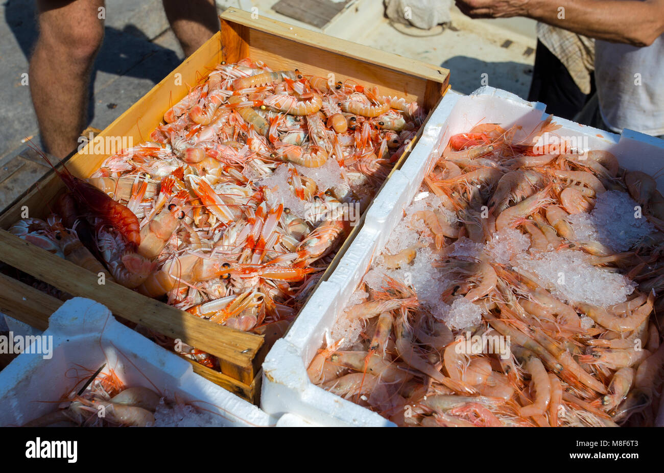 I gamberetti e gli scampi mostrato sul mercato del pesce Foto Stock