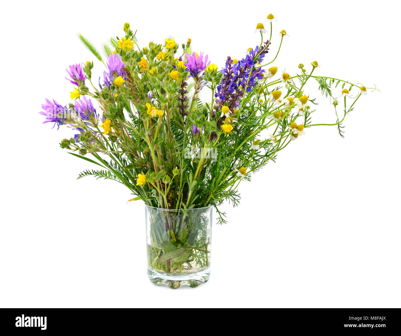 Varietà di fiori selvatici in un vetro isolato su sfondo bianco. Foto Stock