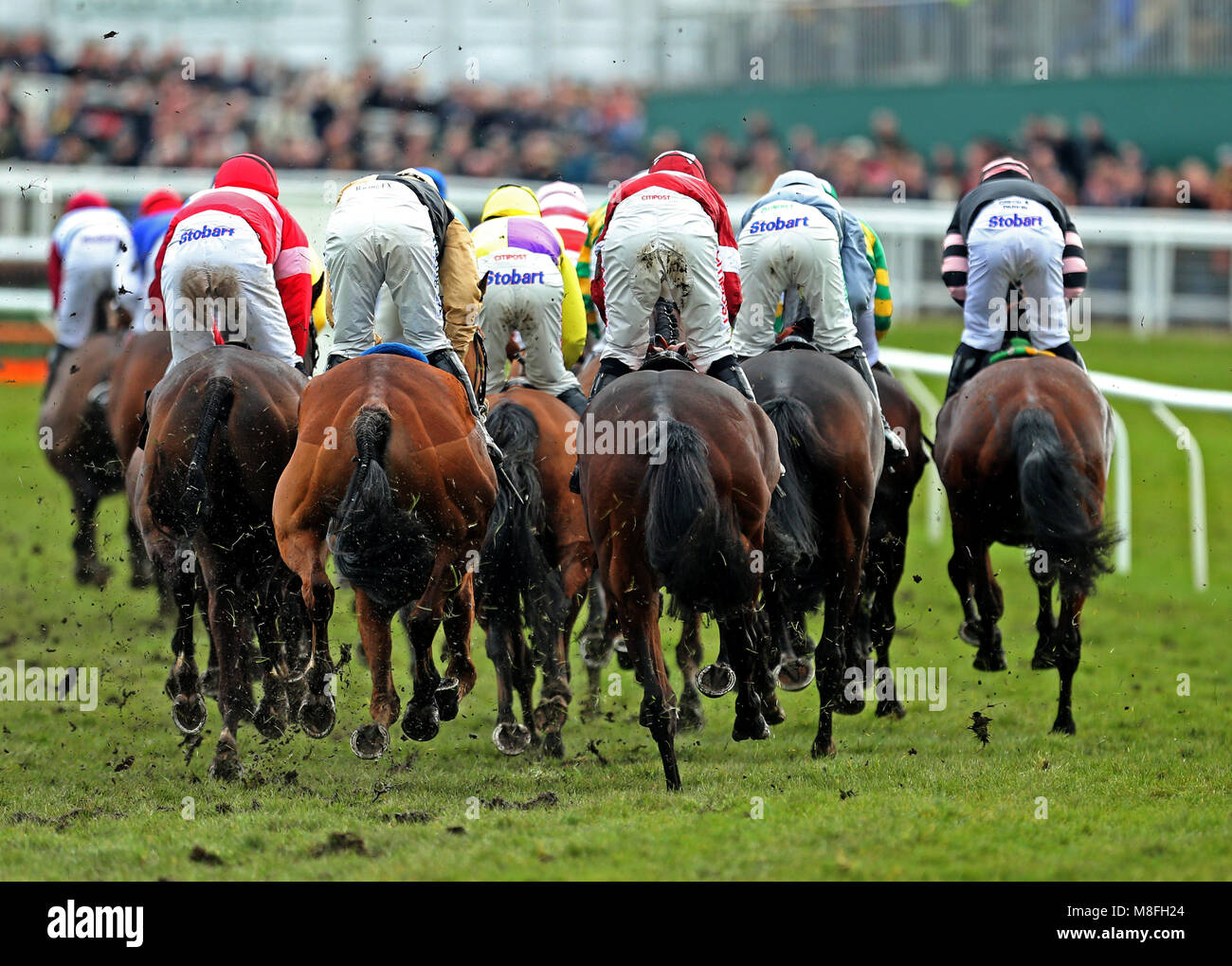 Corridori e corridori nell'ostacolo di Albert Bartlett Novices durante la Gold Cup Day del Cheltenham Festival 2018 all'ippodromo di Cheltenham. PREMERE ASSOCIAZIONE foto. Data immagine: Venerdì 16 marzo 2018. Guarda la storia della PA DI CHELTENHAM. Il credito fotografico dovrebbe essere: Steven Paston/PA Wire. Foto Stock