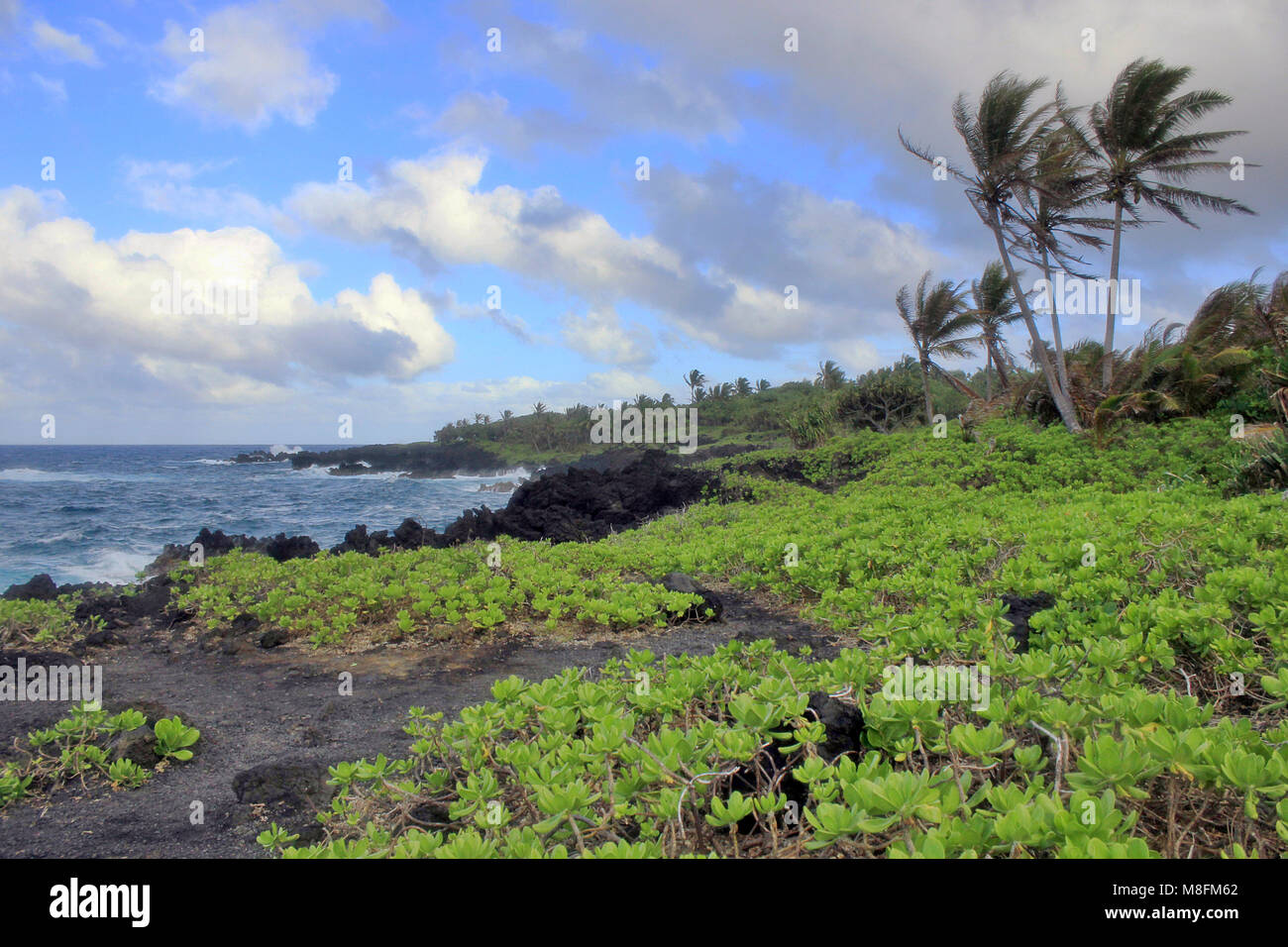 Le rocce vulcaniche a Waianapanapa State Park sull'isola hawaiana di Maui. Foto Stock