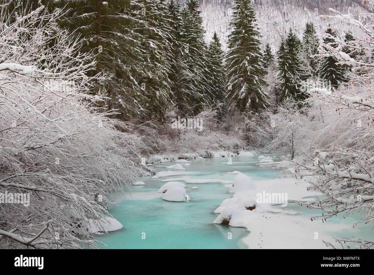 Bellissimo fiume congelato e nevoso inverno Foto Stock