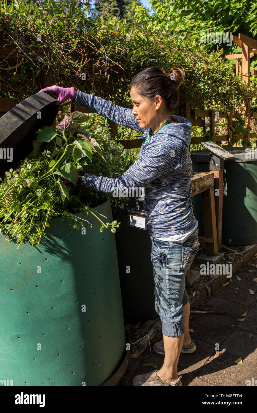 Femmina giardiniere Master aggiunta di piante per un compost bin. Foto Stock