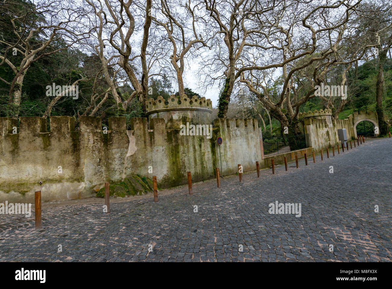Park e il Palazzo Nazionale della pena, Sintra, Portogallo Foto Stock