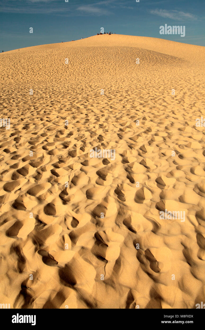 Grande dune du Pilat, pays du Buch Foto Stock