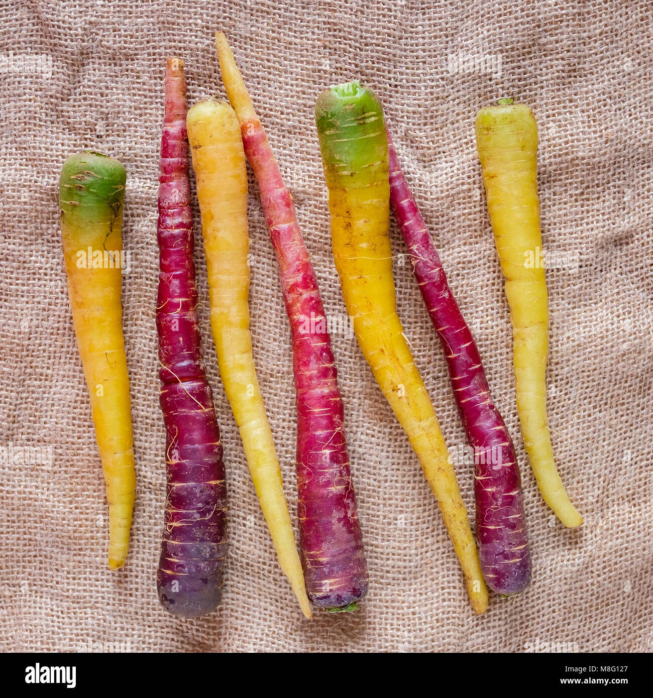 Giallo e viola le carote di Polignano. Cibo pugliese. L'Italia. Foto Stock