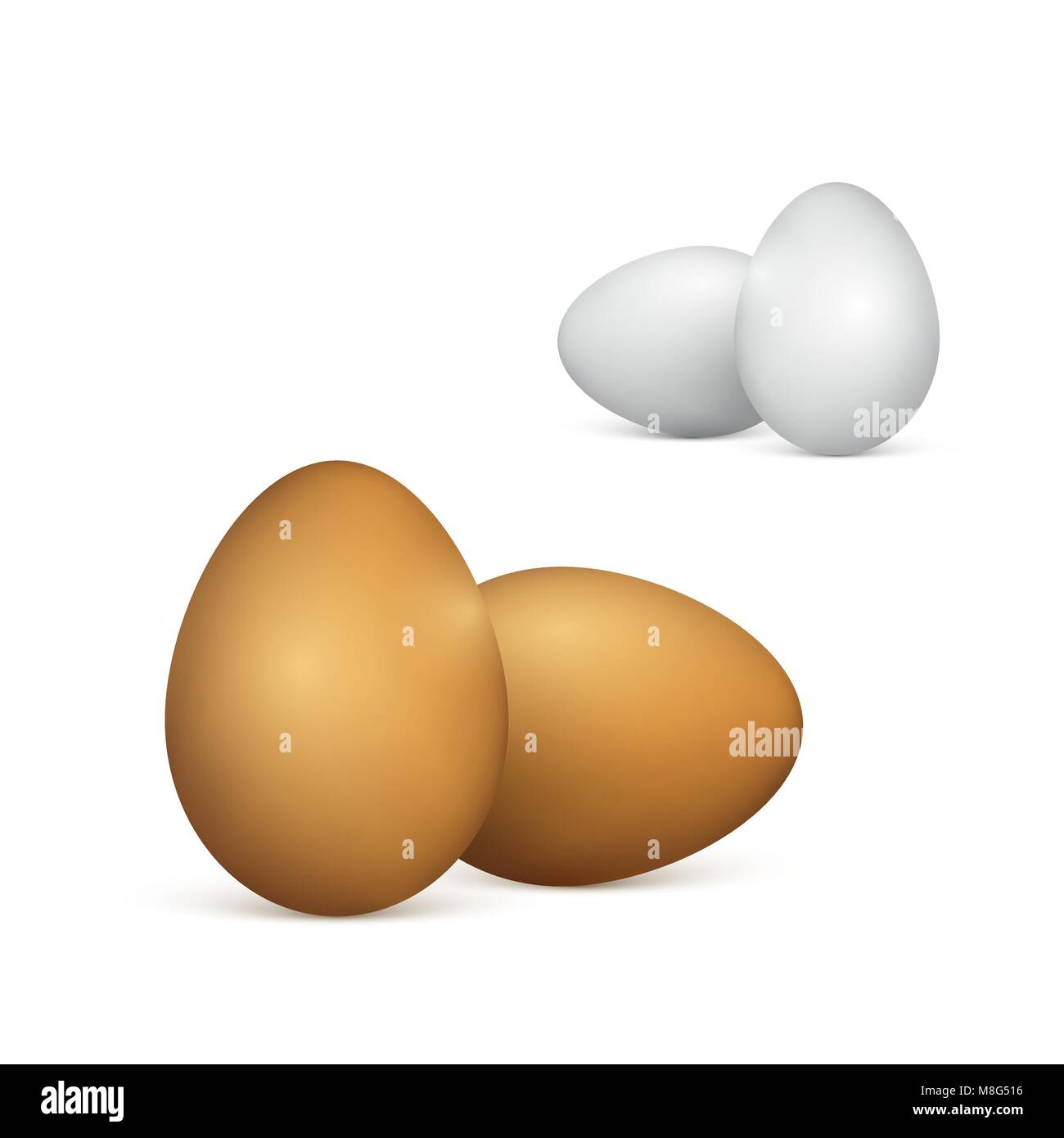 Set di bianco e marrone di uova. 3d realistiche le uova di gallina. Illustrazione di vettore isolato su sfondo bianco Illustrazione Vettoriale
