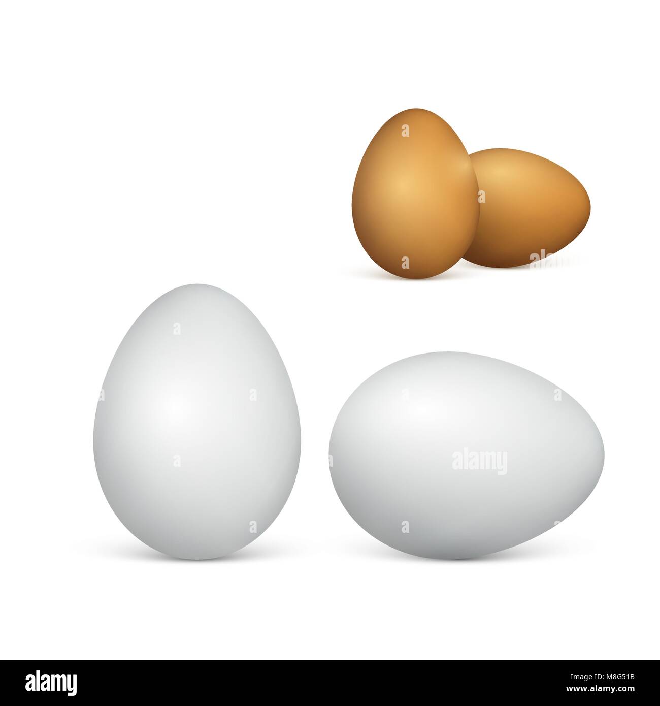 Set di giovane bianco e marrone di uova. 3d realistiche le uova di gallina. Illustrazione di vettore isolato su sfondo bianco Illustrazione Vettoriale