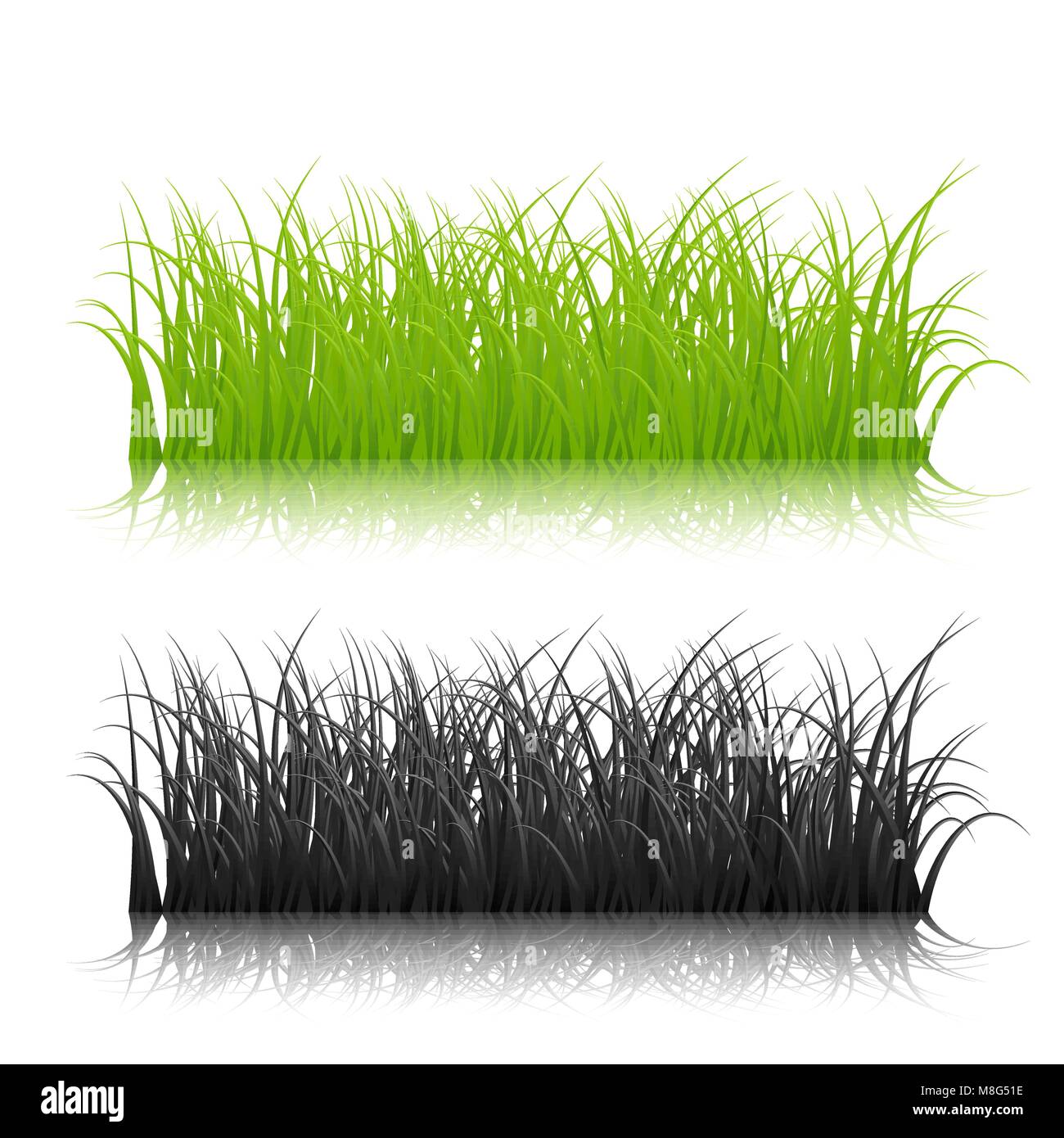 Verde e nero erba silhouette isolati su sfondo bianco. Illustrazione Vettoriale Illustrazione Vettoriale