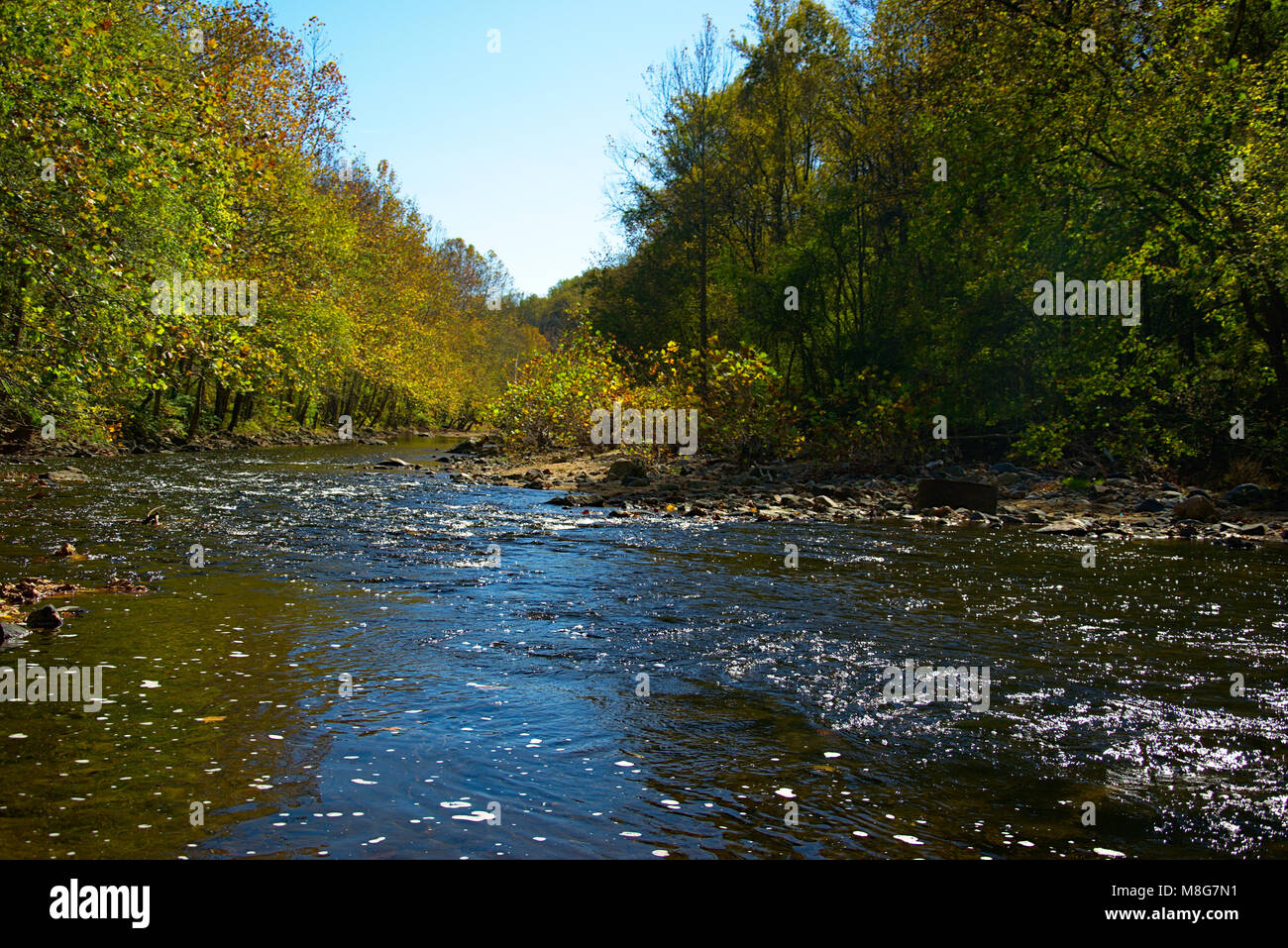 Paesaggio del Fiume Patapsco Foto Stock