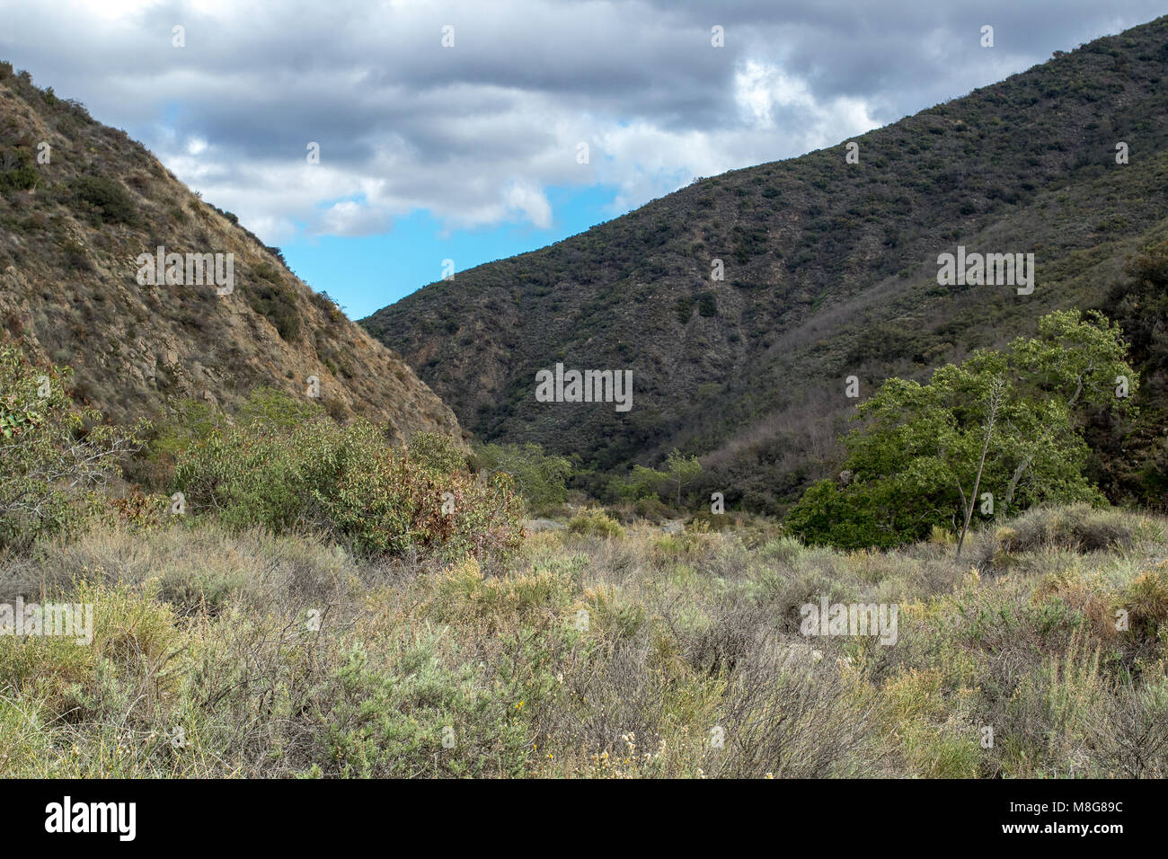 Santo Jim Canyon, Trabuco Canyon California Foto Stock