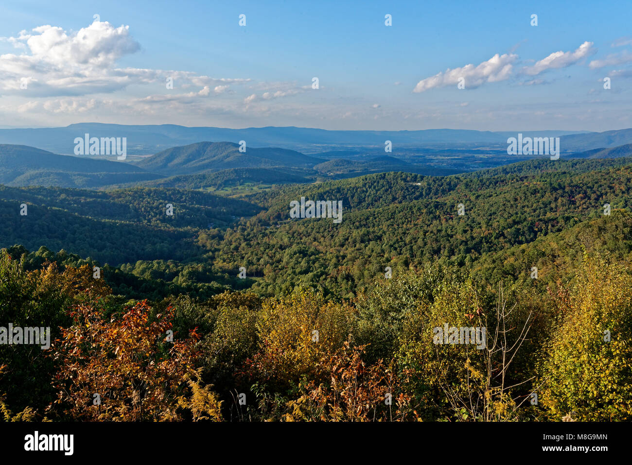 Vista di una valle nel Parco Nazionale di Shenandoah in autunno Foto Stock