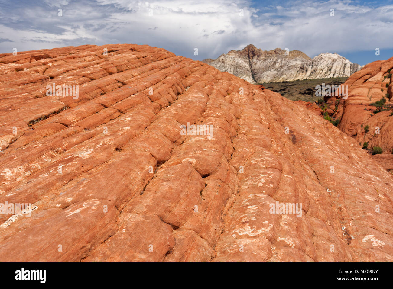 Rosso scogliere di arenaria, Snow Canyon National Park nello Utah Foto Stock