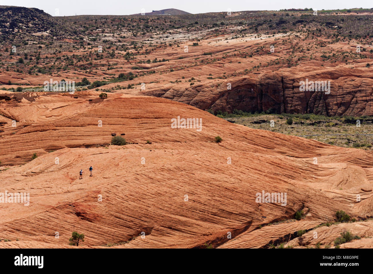 Rosso scogliere di arenaria, Snow Canyon National Park nello Utah Foto Stock