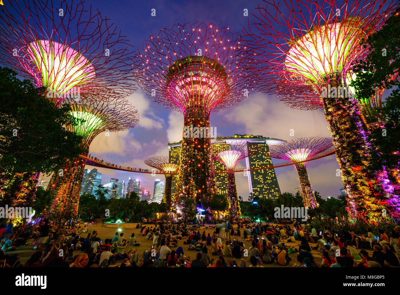 Supertree Grove illuminata di notte, giardini dalla baia di Marina Bay, Singapore Foto Stock